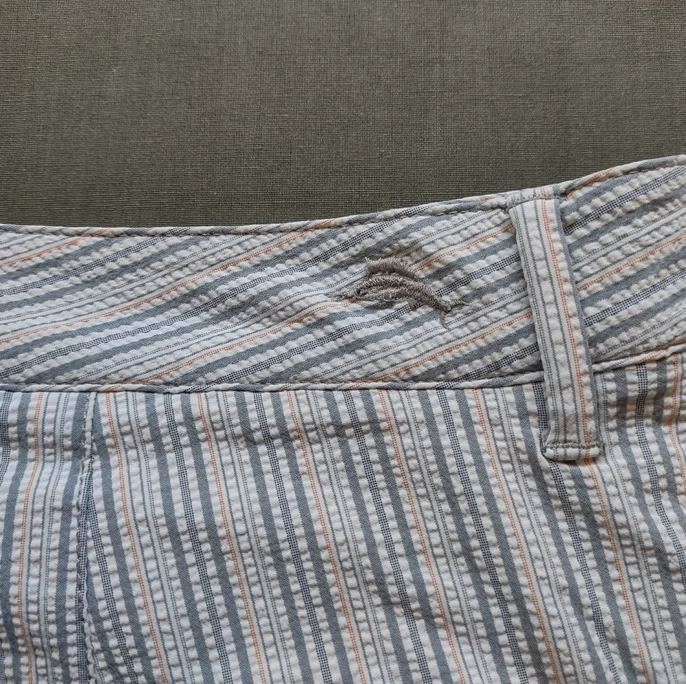 Tommy Bahama Men's Back Swing Seersucker Short (Size 38)